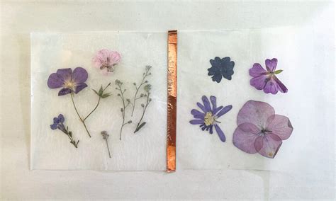 How to Press Flowers with Wax Paper: A Journey Through Time and Texture