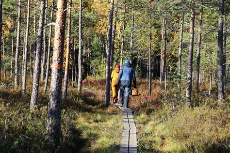  Yax: Käsitellään Kiistaisia Tunteita ja Uutta Aikakauden Tuulta!